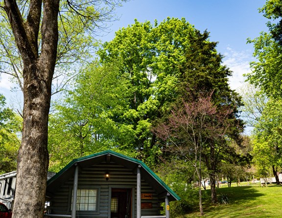 Small one room cabin with a double bed and half bath.