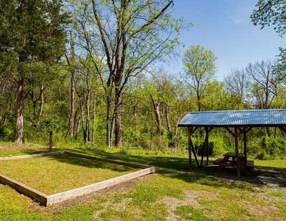 Primitive Tent Site in the Smoky Mountains