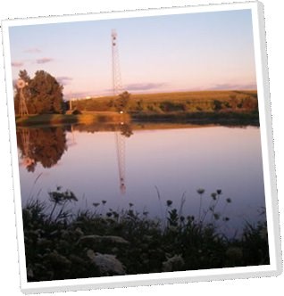 Fishing Pond on grounds for catch and release