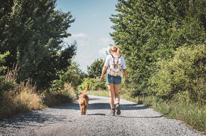 6 Awesome Places to Explore with your Pet in the Great Outdo