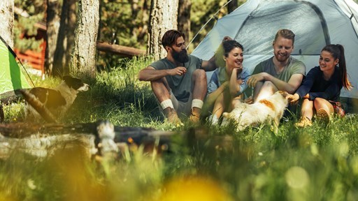 16 Tips for Budget-Friendly Camping
