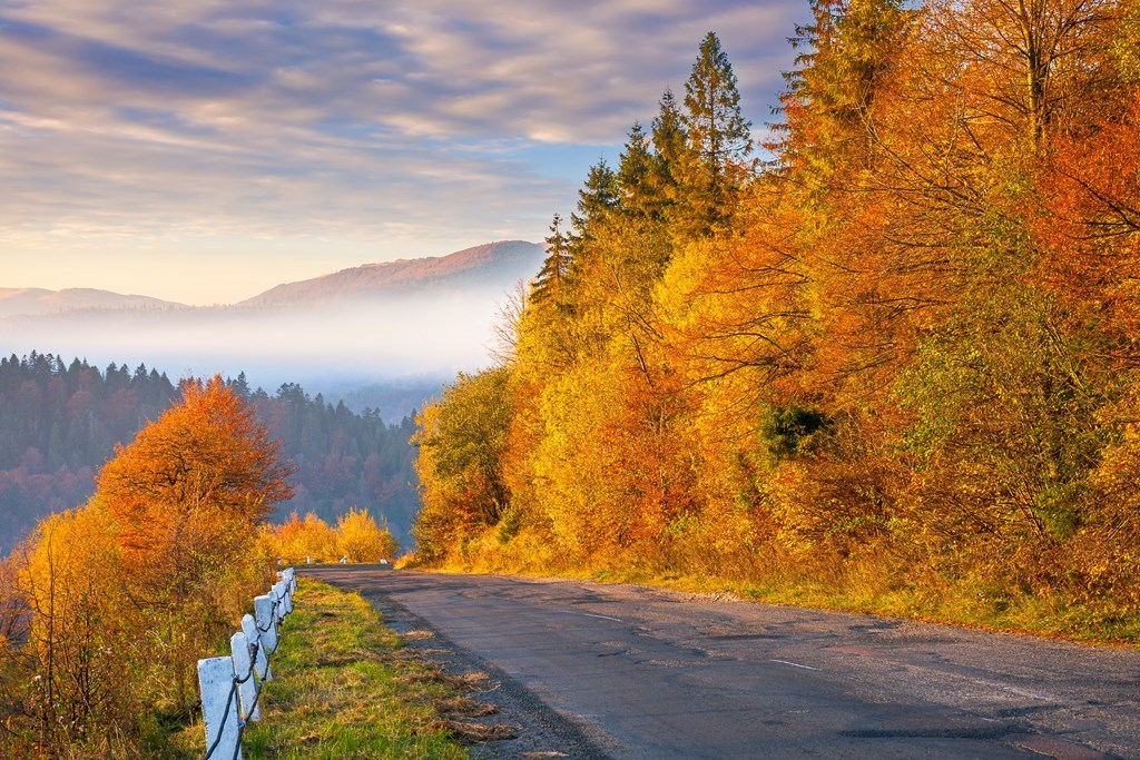 16 Best Fall Road Trips for Fall Foliage in the U.S