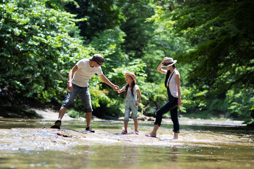 5 Summer Activities To Try in National Forests