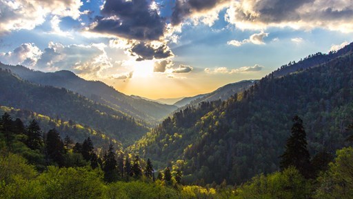 When is The Best Time to Visit Great Smoky Mountains?