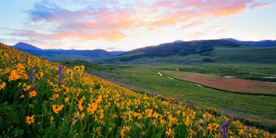 8 Best Hikes For Wildflower Lovers