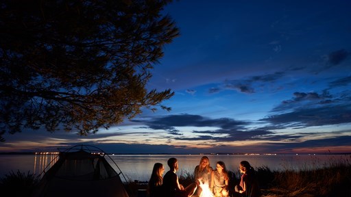 Adult Camping Party Ideas That You'll Love
