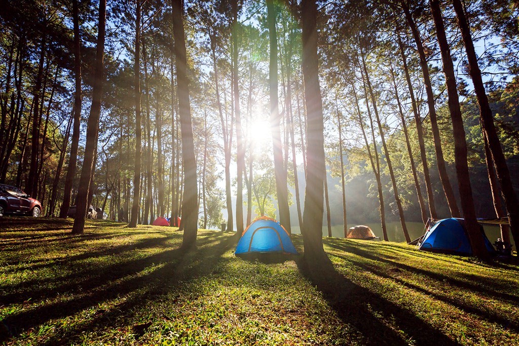 9 Ways Campers Are Going Out Of Their Way To Lower Their Car