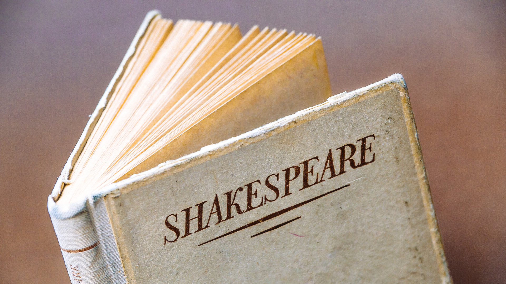 Shakespeare in Delaware Park Photo
