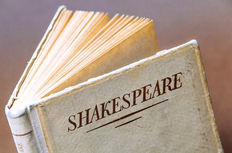 Shakespeare in Delaware Park Photo