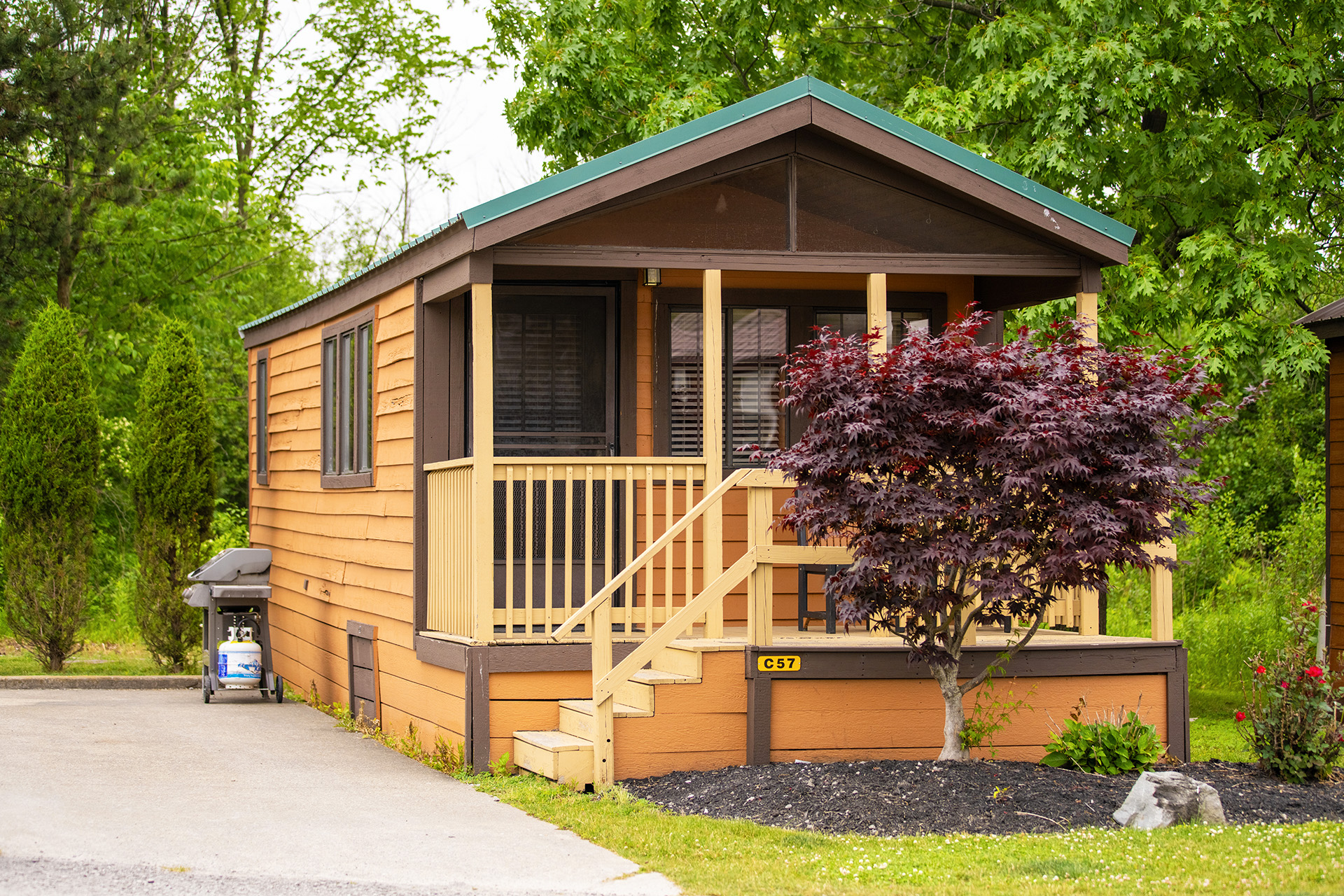 C57 - Deluxe Cabin, 1 Room (Full Bath with Tub & Shower) - Sleeps 6
