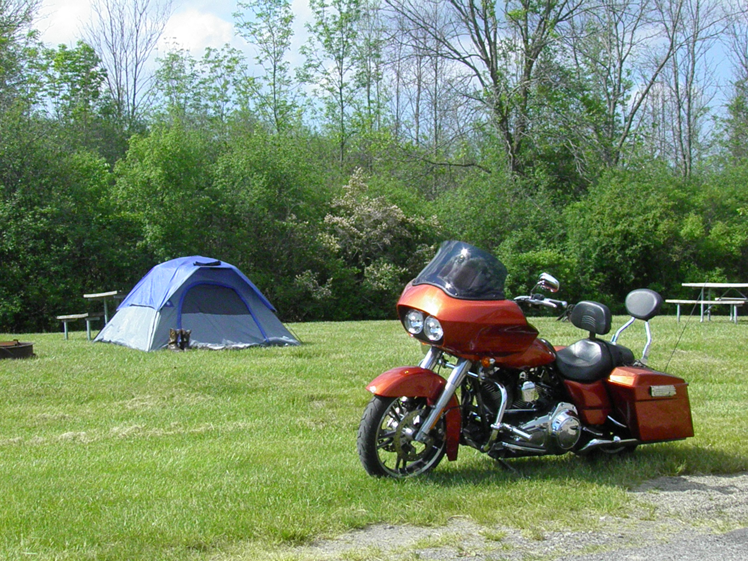 Dry tent site