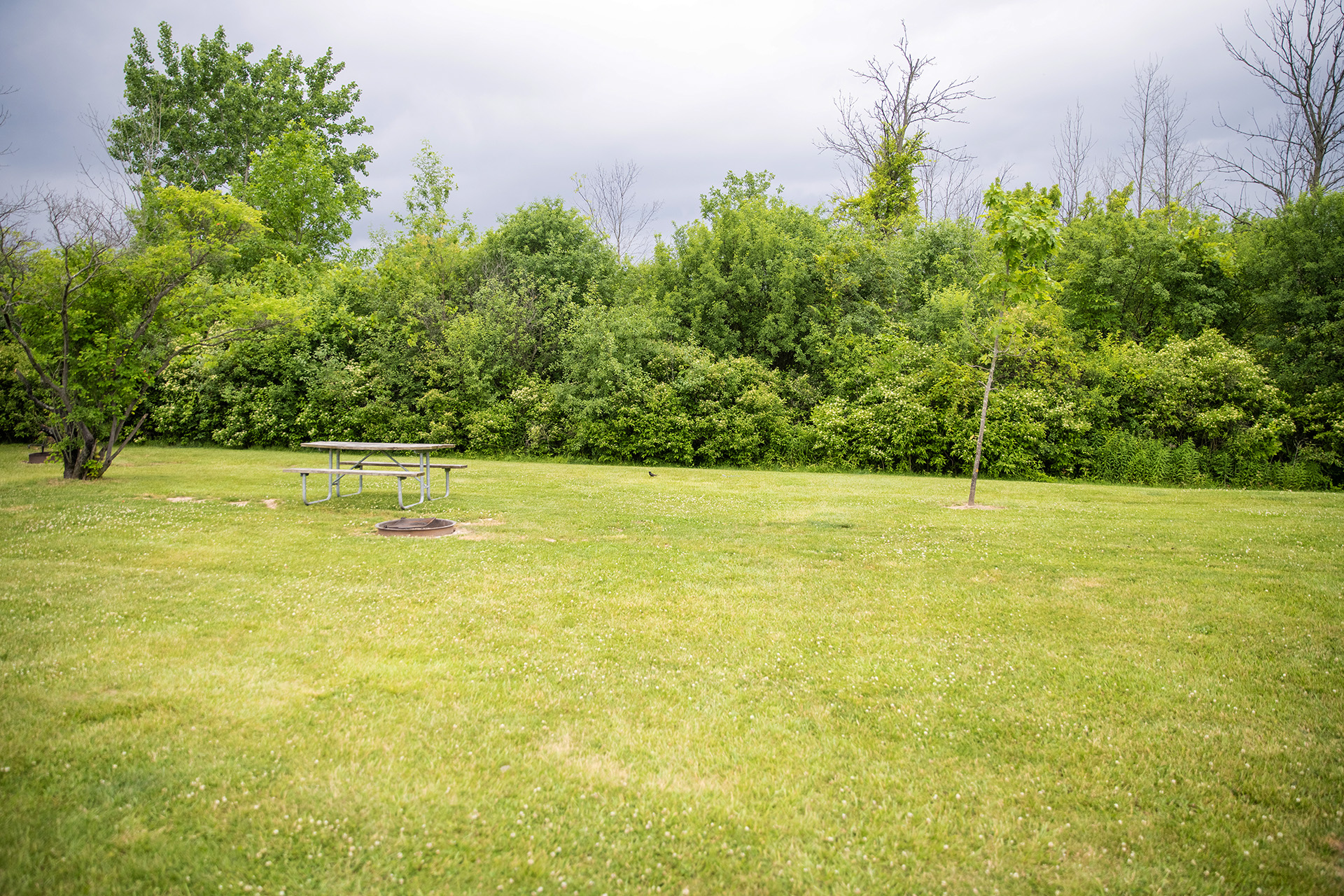 C81 - Tent Site, No Hookup