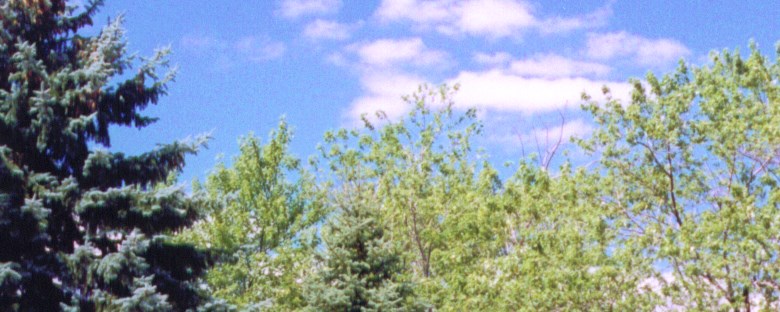 Grand Island New York Campground Niagara Falls Grand