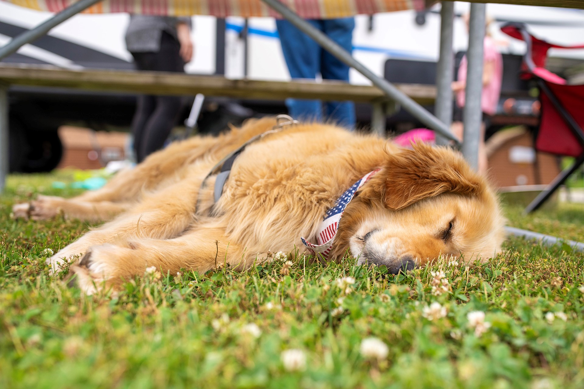 Niagara Falls visual data 7