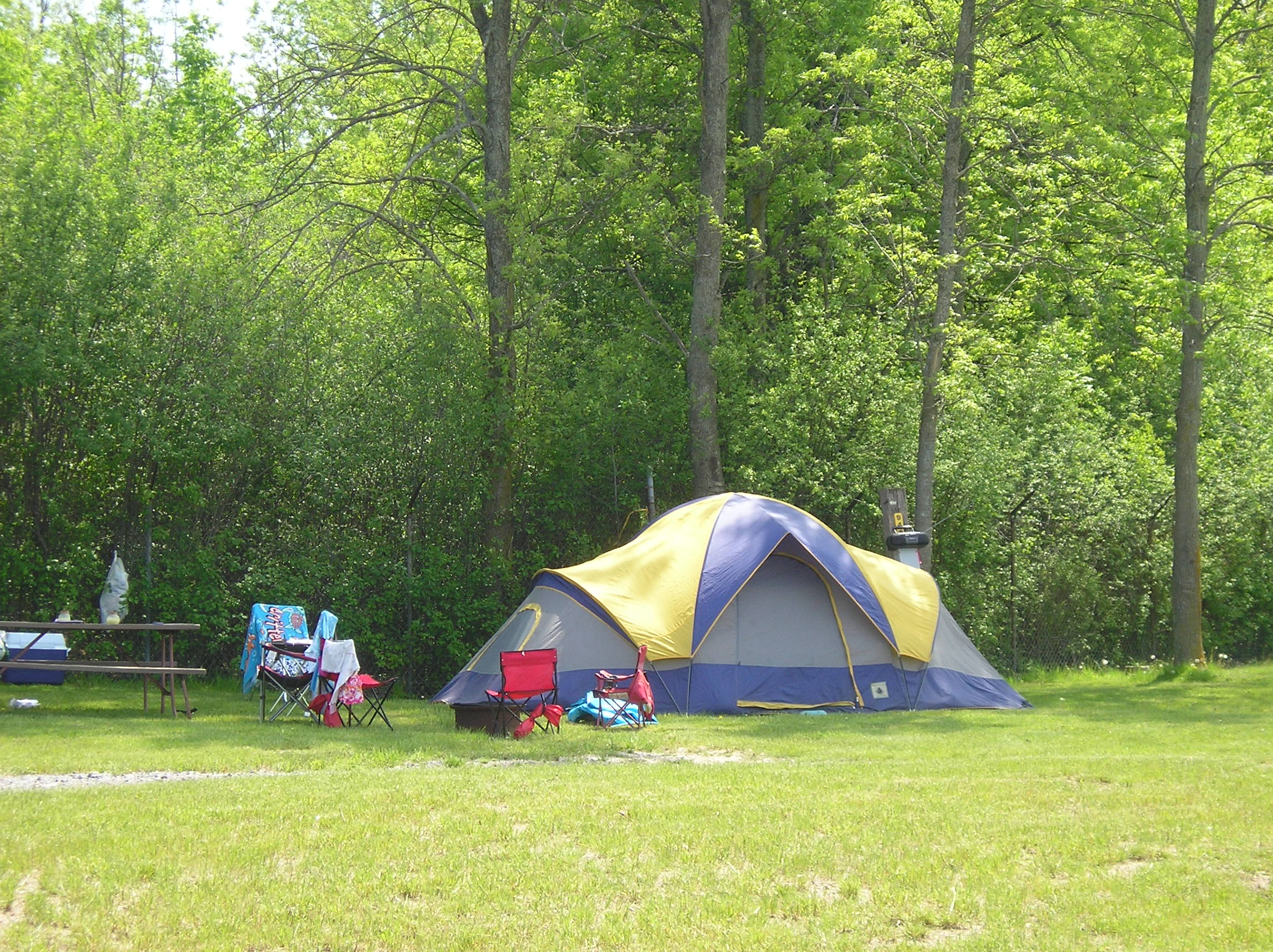 Nebraska's Hidden Gem: Unplug and Recharge at Grand Island's KOA