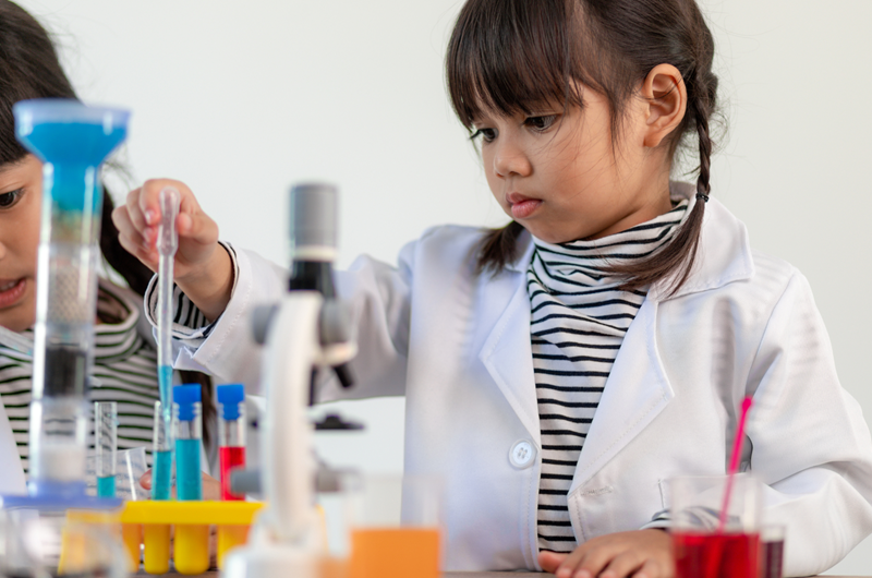 Wonder Lab  |  Memorial Day Weekend Photo