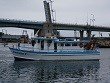 Sunbeam Fleet Charter Fishing and Cruises