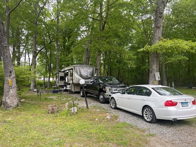 Weekly Discount (W1)