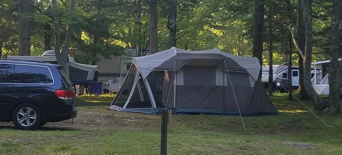 Grassy Tent