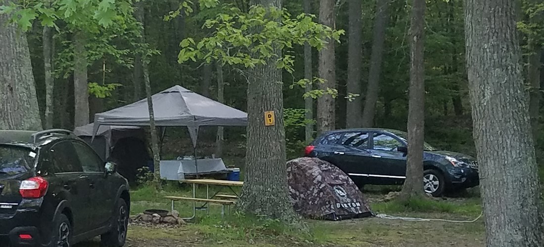 Wooded Tent