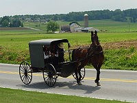 Amish and Cheese Factory Tours