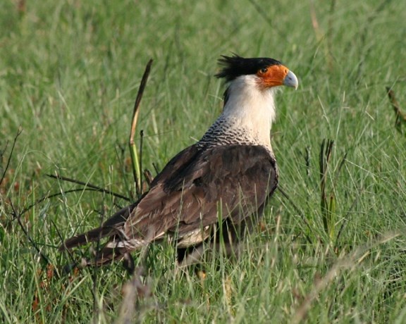 National Audubon Society Wildlife Sanctuary