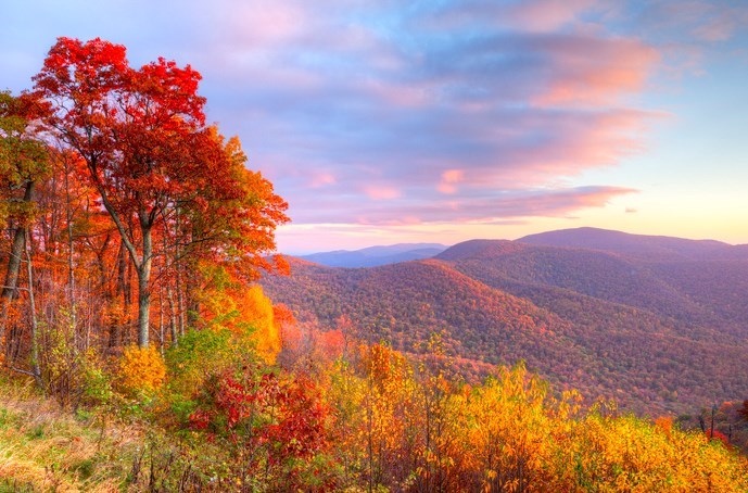 Why Fall Is The Best Time To Plan A National Park Road Trip