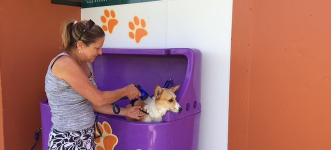 There are 2 Locations with Pet Wash Stations