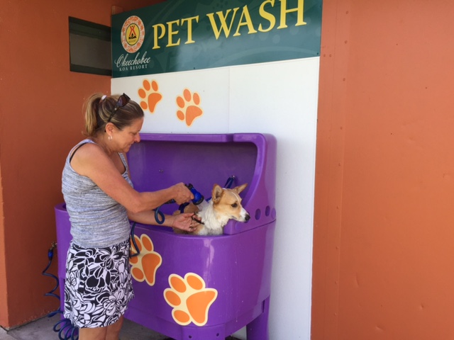 Does Fido need a bath?   We really are pet friendly.