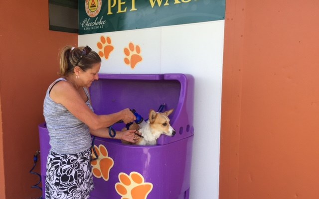 Does Fido need a bath?   We really are pet friendly.