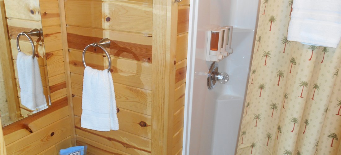 Bathroom with Shower