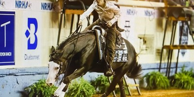 NRHA Derby