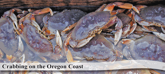 Crabbing in Coos County
