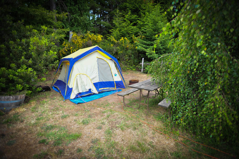 North Bend, Oregon Tent Camping Sites Oregon Dunes KOA