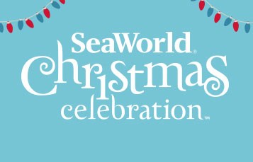 SeaWorld Christmas Celebration Photo