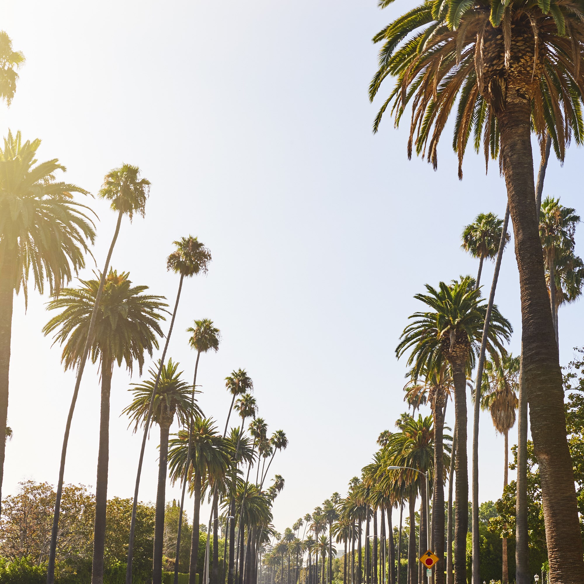 Davenport The Perfect Place to Stay During Your Next Disney