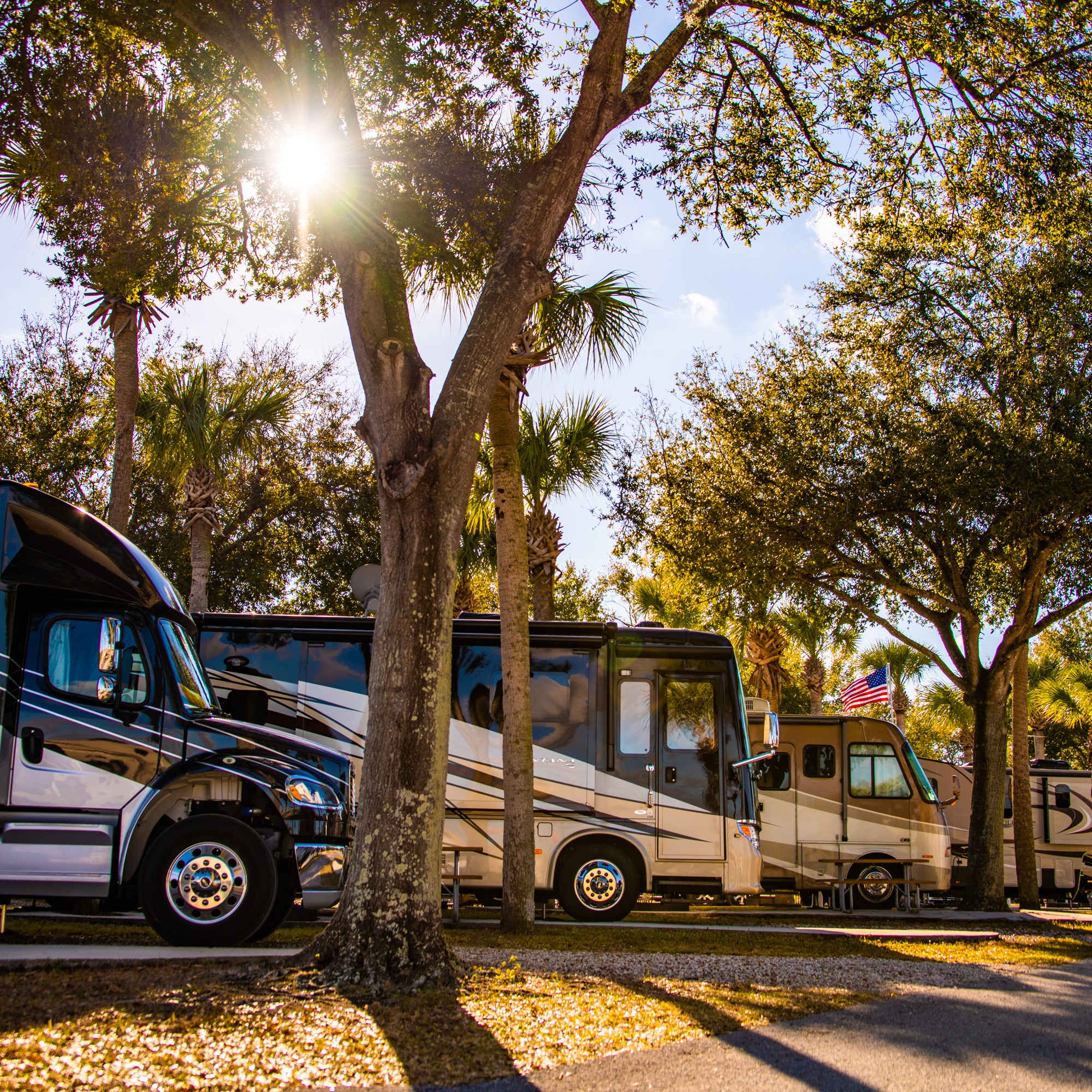 Why Visit Davenport, FL? - KOA