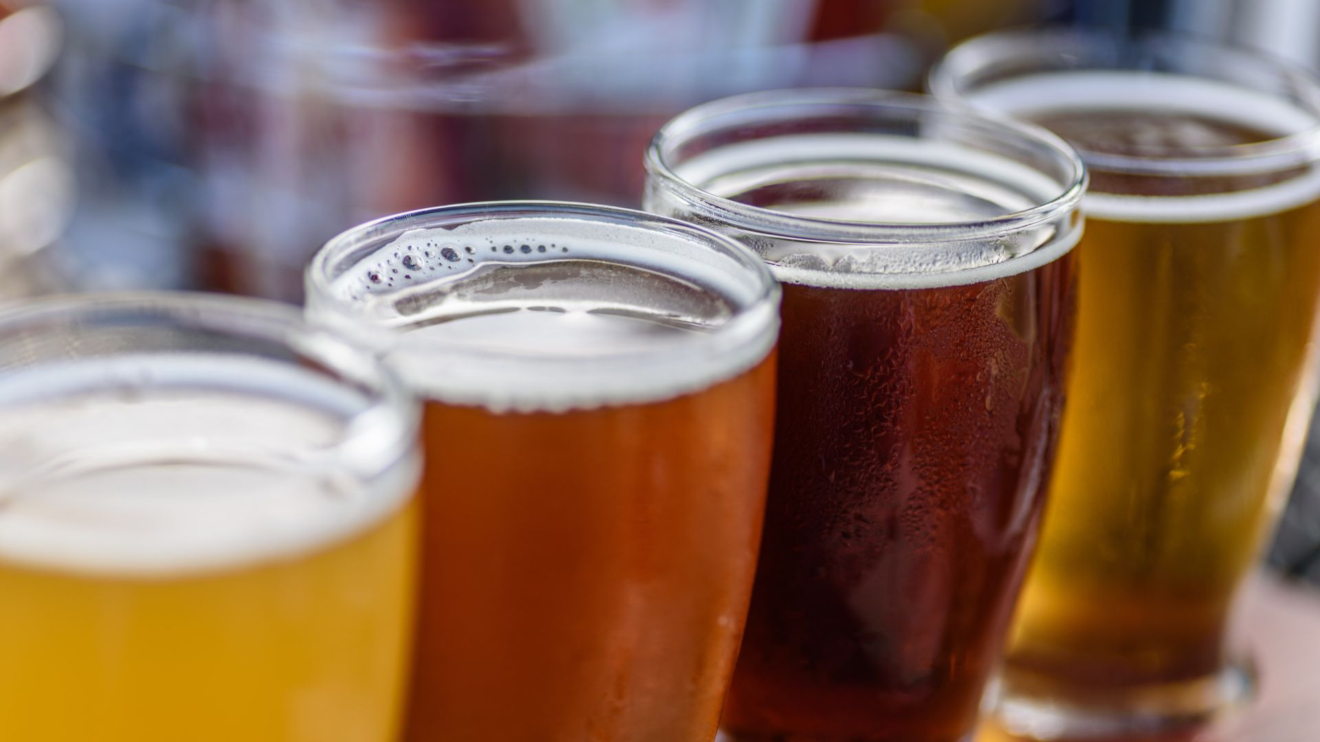 SeaWorld Craft Beer Festival Photo