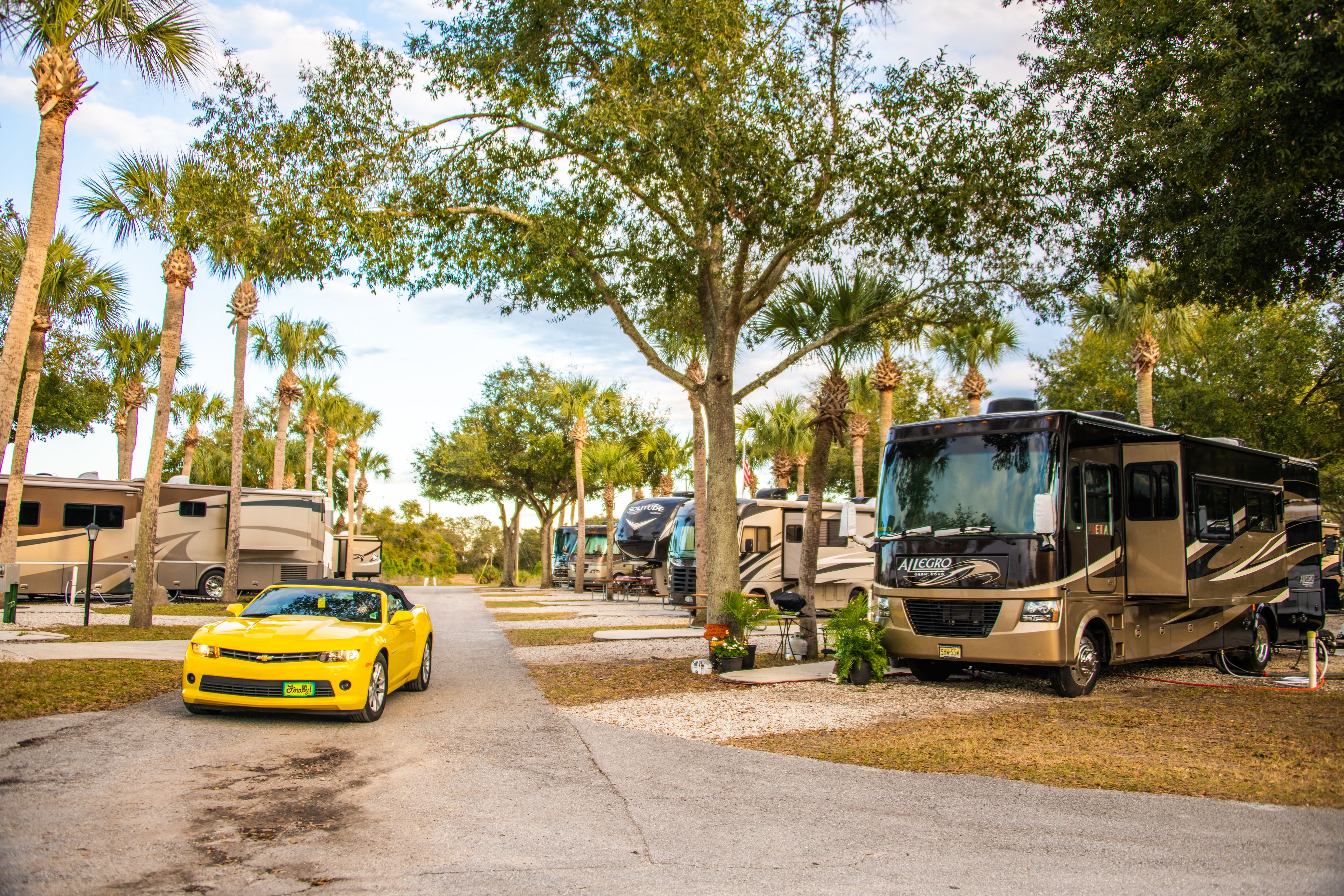 Davenport Florida RV Campgrounds Park Your RV at a KOA!