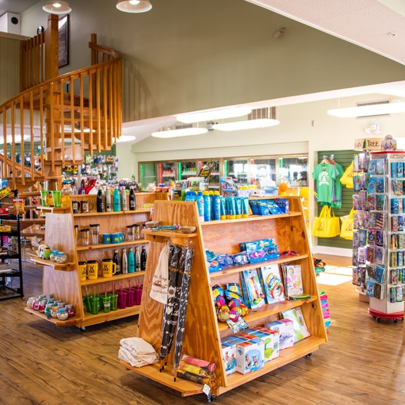 Plan a trip to Fort Meade, Florida
