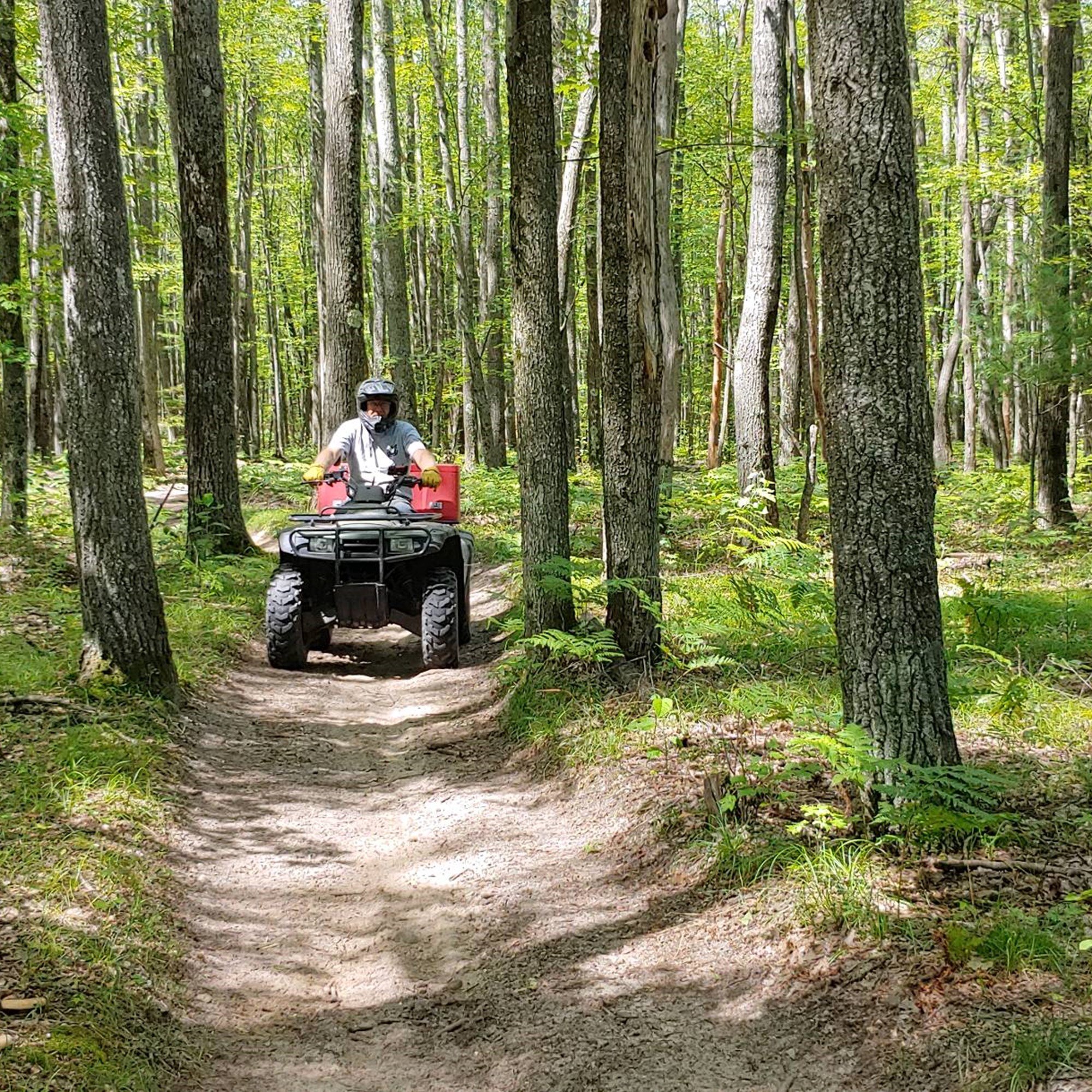 Oscoda, Michigan Campground | Oscoda / Tawas KOA Holiday