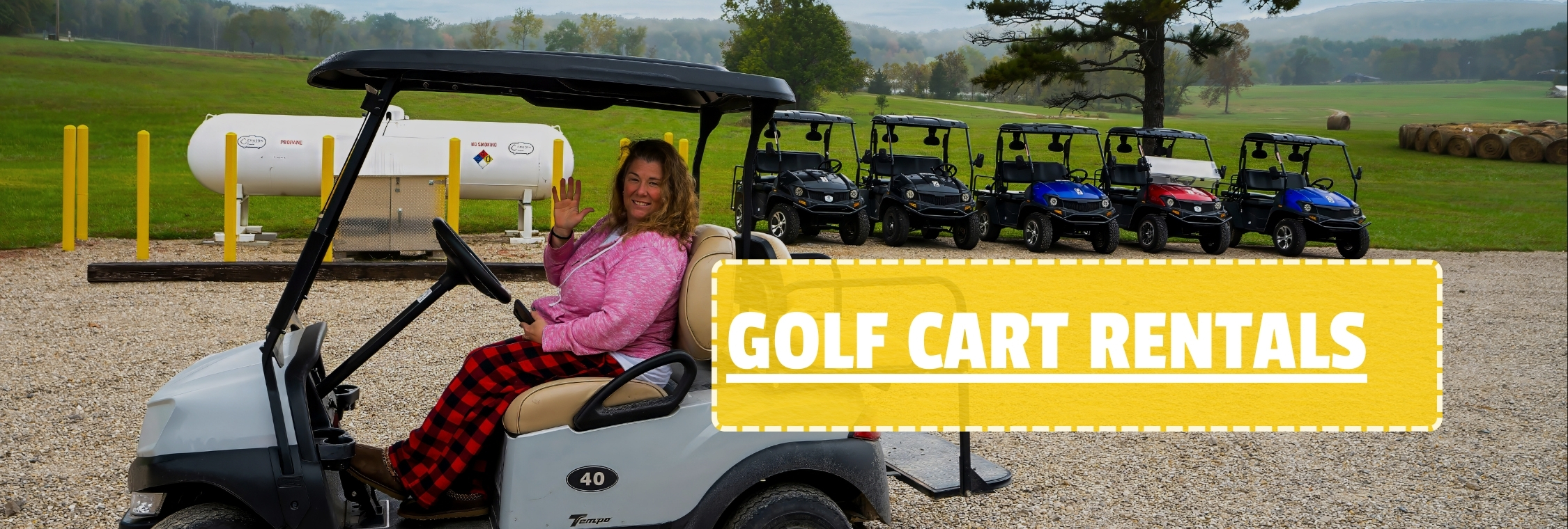 Golf cart rental