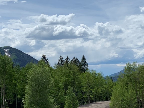 Hiking/Walking Trails