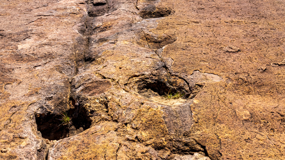 West Gold Hill Dinosaur Tracks