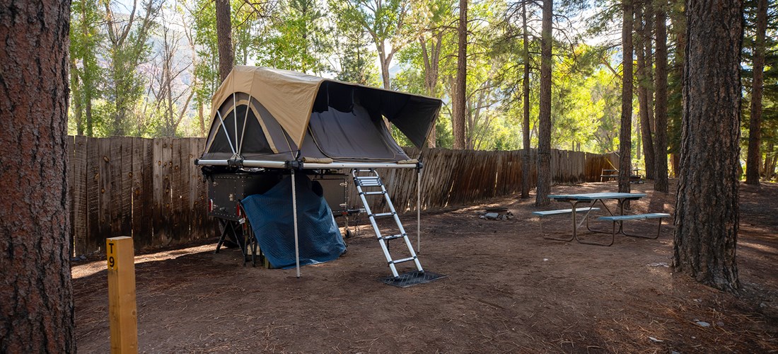 Tent T9 - Tent Site, No Hookup