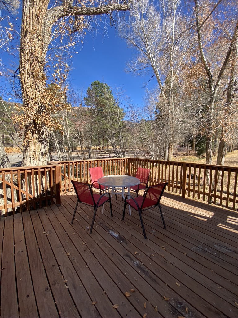 Studio Deluxe cabin patio