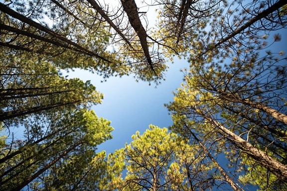 Plan a trip to Lee Acres, New Mexico