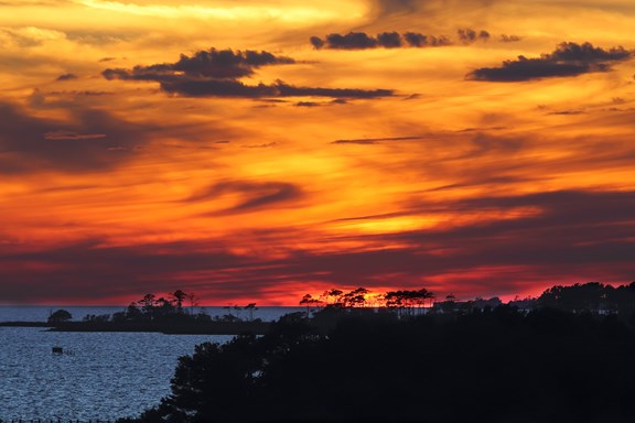 Audubon Sanctuary and Center at Pine Island