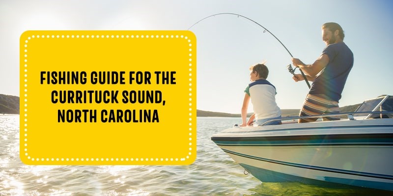 Fishing Guide for the Currituck Sound North Carolina