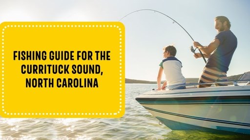 Currituck Outer Banks Blog  Why Currituck is a Sportsman's Paradise